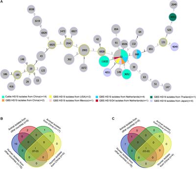 Genomic Relatedness, Antibiotic Resistance and Virulence Traits of Campylobacter jejuni HS19 Isolates From Cattle in China Indicate Pathogenic Potential